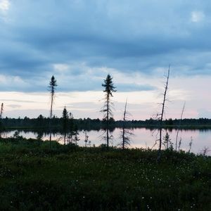 Meet your Pohsher, DK